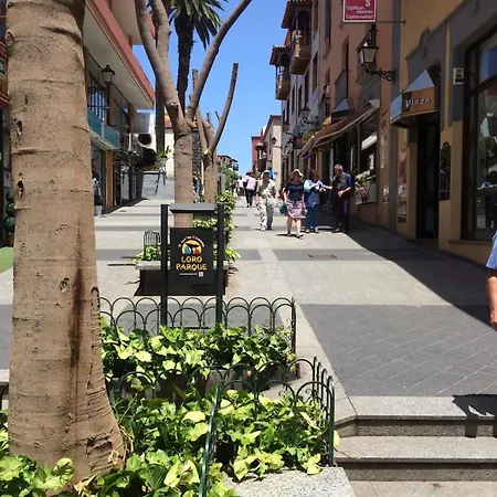 Plaza Del Charco, With Pool, Fast Wi-fi And Views 아파트 푸에르토 드 라 크루즈